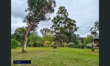 Acreage/Semi-rural Sold - NSW - Inverell - 2360 - SOLD OFF MARKET!!!!!  (Image 2)