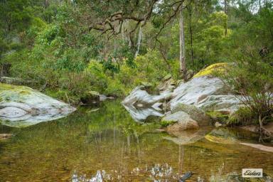 Acreage/Semi-rural For Sale - NSW - Brogo - 2550 - Serene Hobby Farm at 93 Ramble Lane, Brogo  (Image 2)