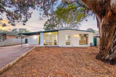 House Sold - WA - Camillo - 6111 - WOW Factor Family Size home on a duplex potential block  (Image 2)