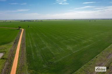 Cropping For Sale - VIC - Marnoo - 3387 - 'ORANA' Large Scale Cropping/Livestock opportunity in the reliable and tightly held Marnoo Region  (Image 2)