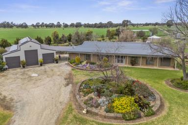 Cropping For Sale - VIC - Bamawm - 3561 - 133 ACRE FARM - QUALITY HOME AND SHEDDING  (Image 2)