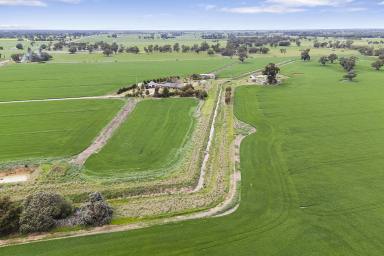 Cropping For Sale - VIC - Bamawm - 3561 - 133 ACRE FARM - QUALITY HOME AND SHEDDING  (Image 2)