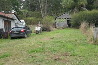 Residential Block For Sale - NSW - Mallanganee - 2469 - MALLANGANEE MECHANICS SHED ON LARGE BLOCK  (Image 2)