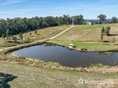 Other (Rural) For Sale - QLD - Kybong - 4570 - Ideal Weekender - Rural Land With Shed, Dam & Creek  (Image 2)