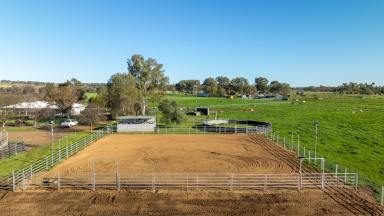 Lifestyle Sold - NSW - Tamworth - 2340 - OUTSTANDING EQUINE PROPERTY MINUTES FROM AELEC  (Image 2)