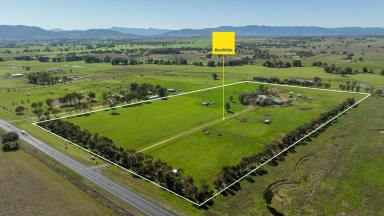 Lifestyle Sold - NSW - Tamworth - 2340 - OUTSTANDING EQUINE PROPERTY MINUTES FROM AELEC  (Image 2)