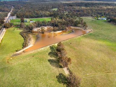 House For Sale - VIC - Talbot - 3371 - 19.67HA (48.60 Acres) - A First Rate Lifestyle That Will Tick Every Box  (Image 2)