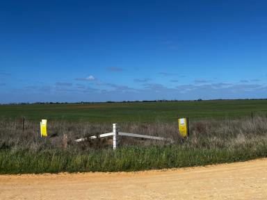 Cropping For Sale - VIC - Beauchamp - 3579 - Cropping or Grazing Country  (Image 2)