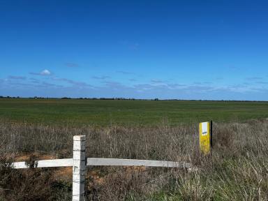 Cropping For Sale - VIC - Beauchamp - 3579 - Cropping or Grazing Country  (Image 2)