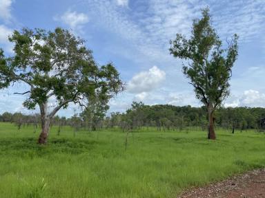 Lifestyle For Sale - NT - Marrakai - 0822 - Unique 309ha Freehold Property  (Image 2)