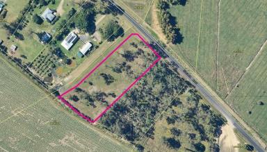 Residential Block For Sale - QLD - Carruchan - 4816 - Vacant semi cleared rural block with mountain views - power & water available  (Image 2)