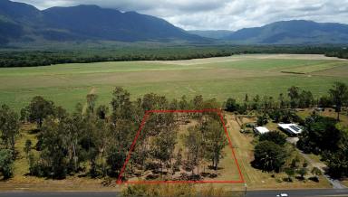 Residential Block For Sale - QLD - Carruchan - 4816 - Vacant semi cleared rural block with mountain views - power & water available  (Image 2)