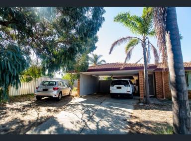 House Sold - WA - Mirrabooka - 6061 - PRIME DEVELOPMENT SITE - CALLING ALL INVESTORS AND DEVELOPERS!  (Image 2)