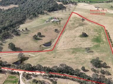 Residential Block For Sale - NSW - Candelo - 2550 - 17 ACRES - BLANK CANVAS  (Image 2)