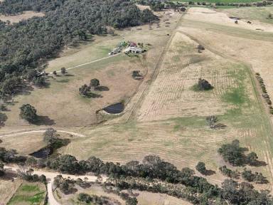 Residential Block For Sale - NSW - Candelo - 2550 - 17 ACRES - BLANK CANVAS  (Image 2)