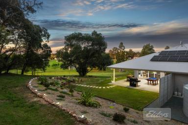 House Sold - QLD - Pie Creek - 4570 - Luxurious Hamptons Style Retreat with Stunning Creek Frontage in Pie Creek  (Image 2)