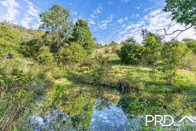 Cropping Sold - NSW - Kyogle - 2474 - 50+ Acres in Town  (Image 2)