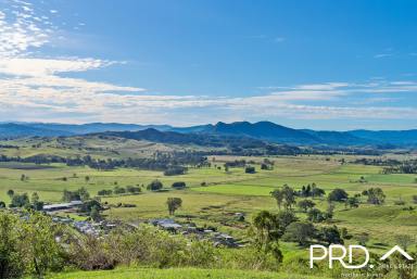 Cropping Sold - NSW - Kyogle - 2474 - 50+ Acres in Town  (Image 2)