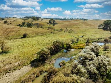 Livestock For Sale - NSW - Bungonia - 2580 - 770 ACRES, 8 MEG PUMPING LICENCE, GRAZING COUNTRY, PERMANENT RUNNING CREEK, ROLLING HILLS, AMAZING VIEWS  (Image 2)