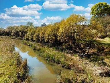 Livestock For Sale - NSW - Bungonia - 2580 - 770 ACRES, 8 MEG PUMPING LICENCE, GRAZING COUNTRY, PERMANENT RUNNING CREEK, ROLLING HILLS, VIEWS FOREVER.  (Image 2)