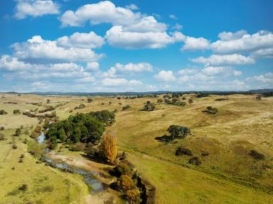 Livestock For Sale - NSW - Bungonia - 2580 - 770 ACRES, 8 MEG PUMPING LICENCE, GRAZING COUNTRY, PERMANENT RUNNING CREEK, ROLLING HILLS, VIEWS FOREVER.  (Image 2)