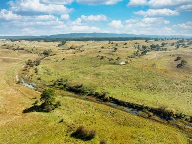 Livestock For Sale - NSW - Bungonia - 2580 - 770 ACRES, 8 MEG PUMPING LICENCE, GRAZING COUNTRY, PERMANENT RUNNING CREEK, ROLLING HILLS, VIEWS FOREVER.  (Image 2)