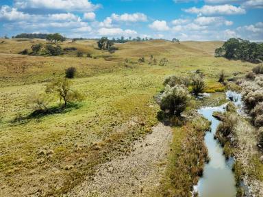 Livestock For Sale - NSW - Bungonia - 2580 - 770 ACRES, 8 MEG PUMPING LICENCE, GRAZING COUNTRY, PERMANENT RUNNING CREEK, ROLLING HILLS, VIEWS FOREVER.  (Image 2)