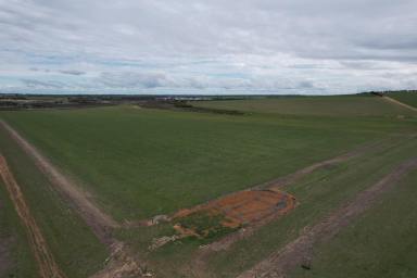 Other (Rural) For Sale - WA - Dangin - 6383 - Prime Agricultural Land on Quairading South Rd, Dangin 646ha(1595acres)  (Image 2)