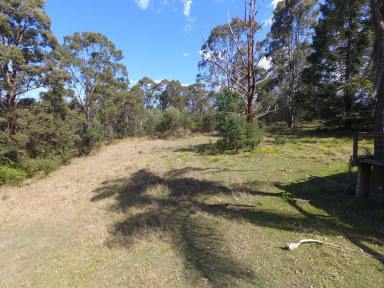 Lifestyle For Sale - NSW - Drake - 2469 - 445 ACRES - PLENTIFUL FAUNA AND FLORA (Image 2)