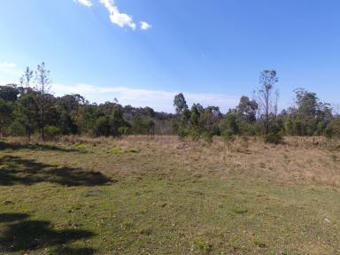 Lifestyle For Sale - NSW - Drake - 2469 - 445 ACRES - PLENTIFUL FAUNA AND FLORA (Image 2)