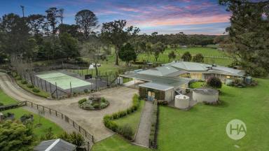 Acreage/Semi-rural Sold - VIC - Moorooduc - 3933 - Semi-Rural Serenity With Tennis Court & Swimming Pool  (Image 2)