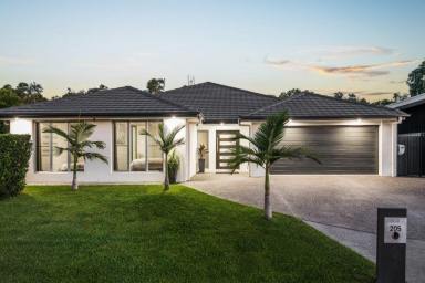 House Leased - QLD - Peregian Springs - 4573 - Flawless family living close to schools and shops  (Image 2)