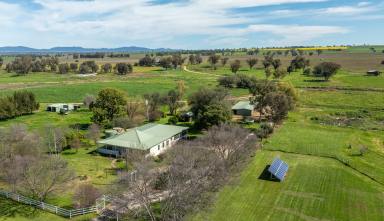 Mixed Farming For Sale - NSW - Attunga - 2345 - PRODUCTION AND LIFESTYLE WITH ITS OWN REGISTERED AIRSTRIP!  (Image 2)