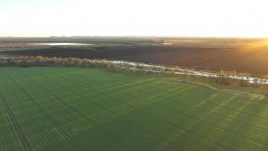 Mixed Farming For Sale - QLD - Springsure - 4722 - Institutional-Scale, Multifaceted Cropping & Grazing Opportunity  (Image 2)