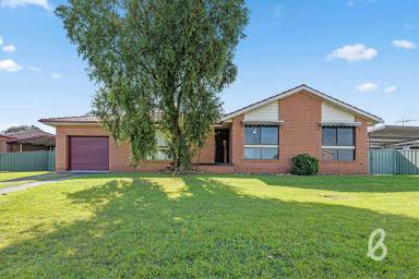 House Sold - NSW - Singleton - 2330 - One For The Keen Renovator  (Image 2)