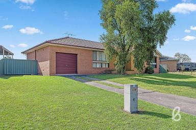 House Sold - NSW - Singleton - 2330 - One For The Keen Renovator  (Image 2)