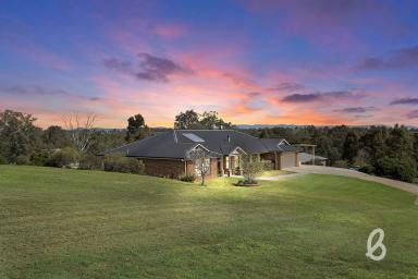 House Sold - NSW - Singleton - 2330 - Family Lifestyle Retreat  (Image 2)