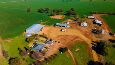 Mixed Farming For Sale - NSW - Mimosa - 2666 - Quality Farming Aggregation In Tightly Held Locality  (Image 2)