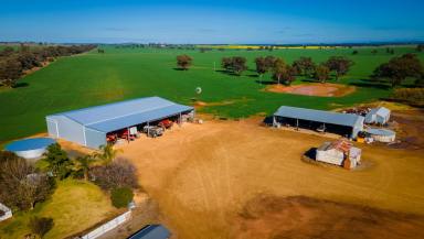 Mixed Farming For Sale - NSW - Mimosa - 2666 - Quality Farming Aggregation In Tightly Held Locality  (Image 2)