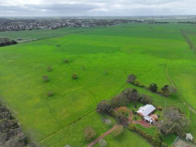 Livestock For Sale - VIC - Mortlake - 3272 - PRIME LIVESTOCK BREEDING & WIND ENERGY ENTERPRISE  (Image 2)