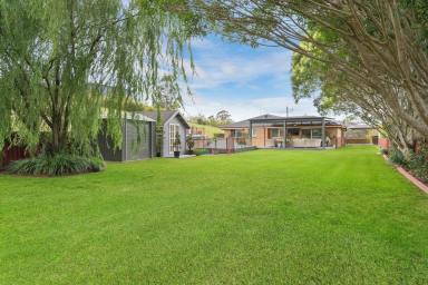 House For Sale - NSW - Dungog - 2420 - Ultimate Acreage Lifestyle: Space, Functionality, and Relaxation  (Image 2)