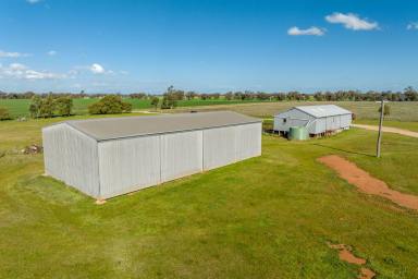 Mixed Farming Auction - NSW - Milbrulong - 2656 - Finalisation of Family Estate  (Image 2)