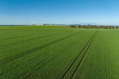 Mixed Farming Auction - NSW - Milbrulong - 2656 - Finalisation of Family Estate  (Image 2)