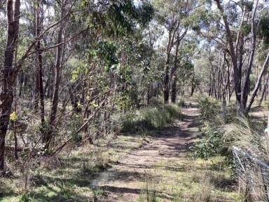 Other (Rural) Sold - VIC - Dereel - 3352 - 16.75Ha (Approx. 41.38Ac); Rugged, Bush Block; No Services; RCZ  (Image 2)