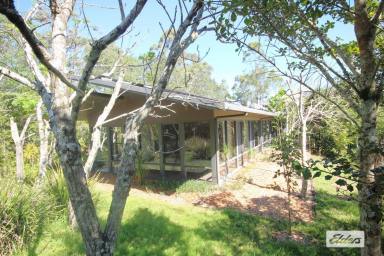 House For Lease - NSW - Bootawa - 2430 - OFF GRID - House plus cottage with 180 river views  (Image 2)