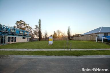 Residential Block For Sale - NSW - Bowral - 2576 - Inspiration Begins With a Location and a Dream  (Image 2)