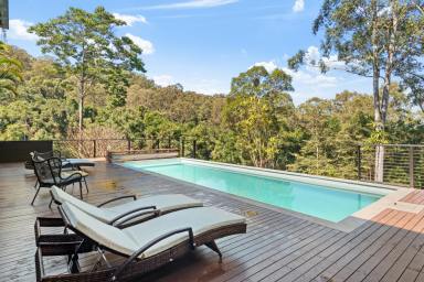 House Leased - QLD - Eumundi - 4562 - Luxe & tranquil hinterland home  (Image 2)