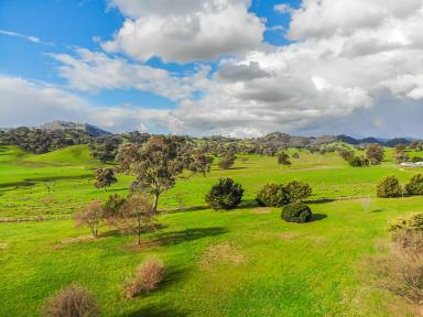 Other (Rural) For Sale - NSW - Tumut - 2720 - "Rose Hill"  (Image 2)