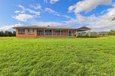 Other (Rural) For Sale - NSW - Tumut - 2720 - "Rose Hill"  (Image 2)