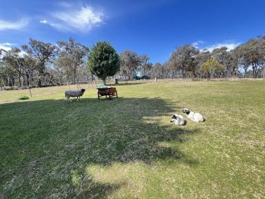 Acreage/Semi-rural For Sale - NSW - Bungonia - 2580 - 25 acres, Nice Mountain & Valley Views, 3 bed Cottage, Triple garage/Workshop, Power, Ideal Lifestyle Property In The Country.  (Image 2)